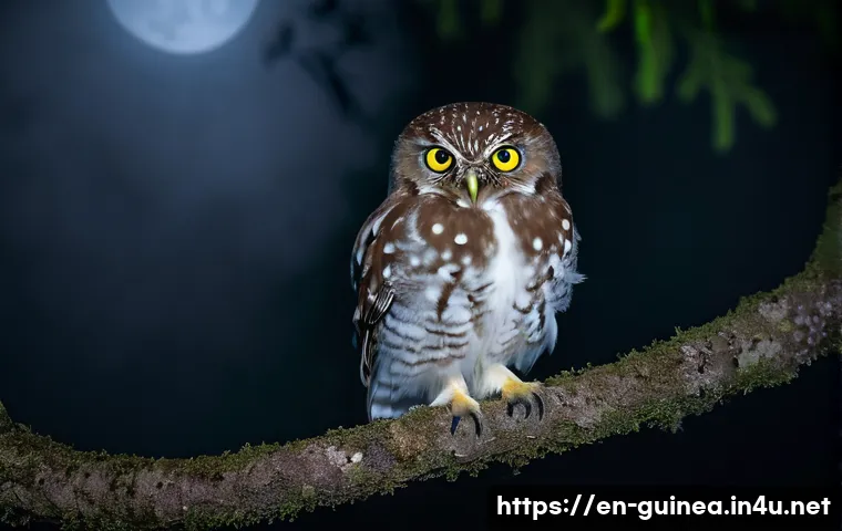 Discover 7 Unique Animals You Can Only Encounter in Guinea and How to Spot Them 4 기니에서 마주할 수 있는 특이한 동물들 관련 이미지 2
