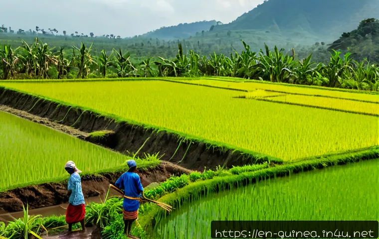 기니에서 재배되는 주요 농산물 - Photorealistic wide view of rice cultivation in rural Guinea, West Africa, farmers in practical colo...